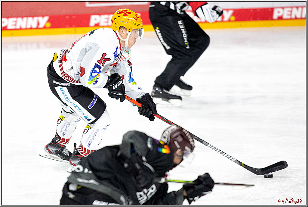 PENNY DEL;  Koelner Haie - Fischtown Pinguins Bremerhaven; Koeln, 17.01.2021